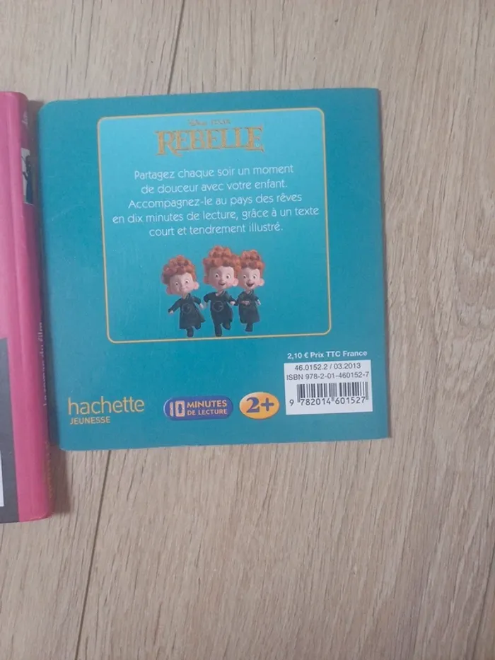 Rebelle - photo numéro 3