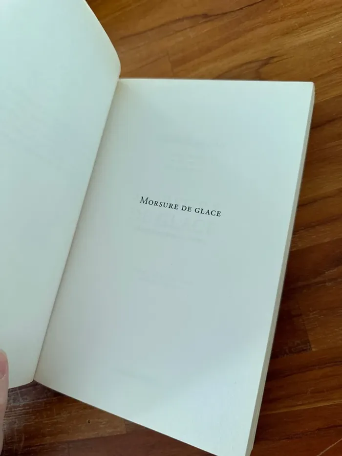 Livre vampire Academy, morsures de glace - photo numéro 4