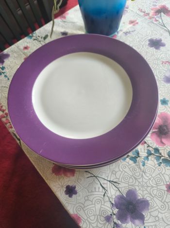 Lot de 8 assiettes très bon état