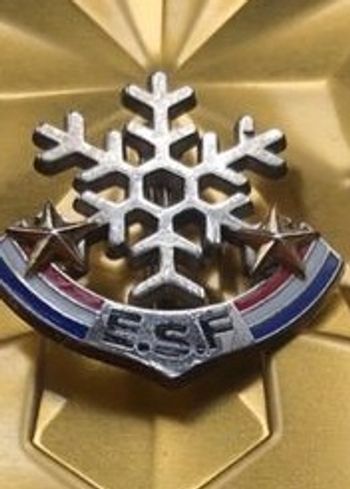 Insigne de de  l’école de ski Française(  2 ème étoile )