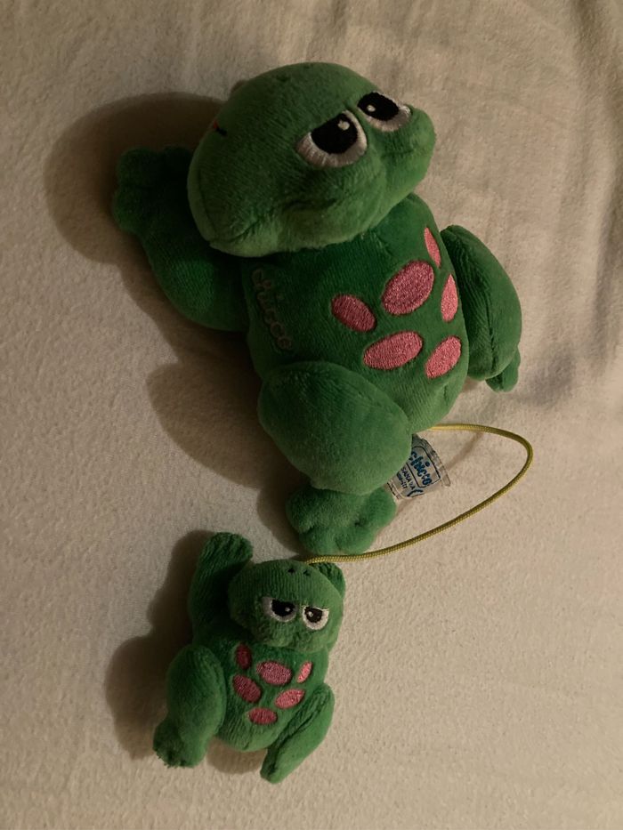 Maman et bébé grenouille - photo numéro 3