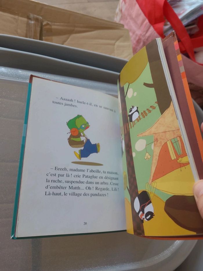 Livre 1ere lecture - photo numéro 3