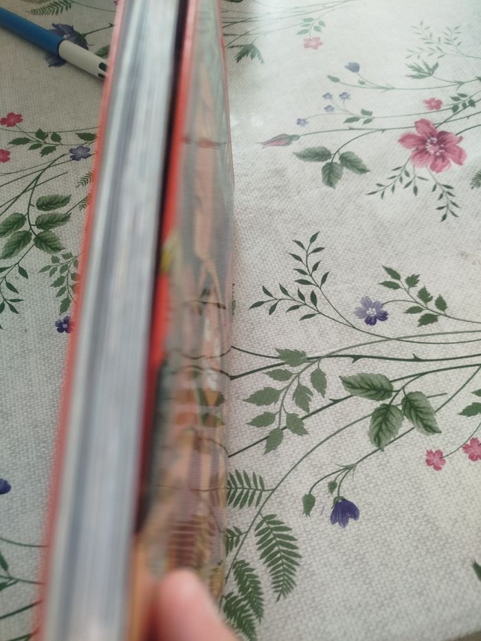 Livre one pièce - photo numéro 4