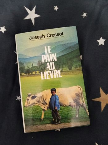 Livre (120) 📚 Le pain au lièvre