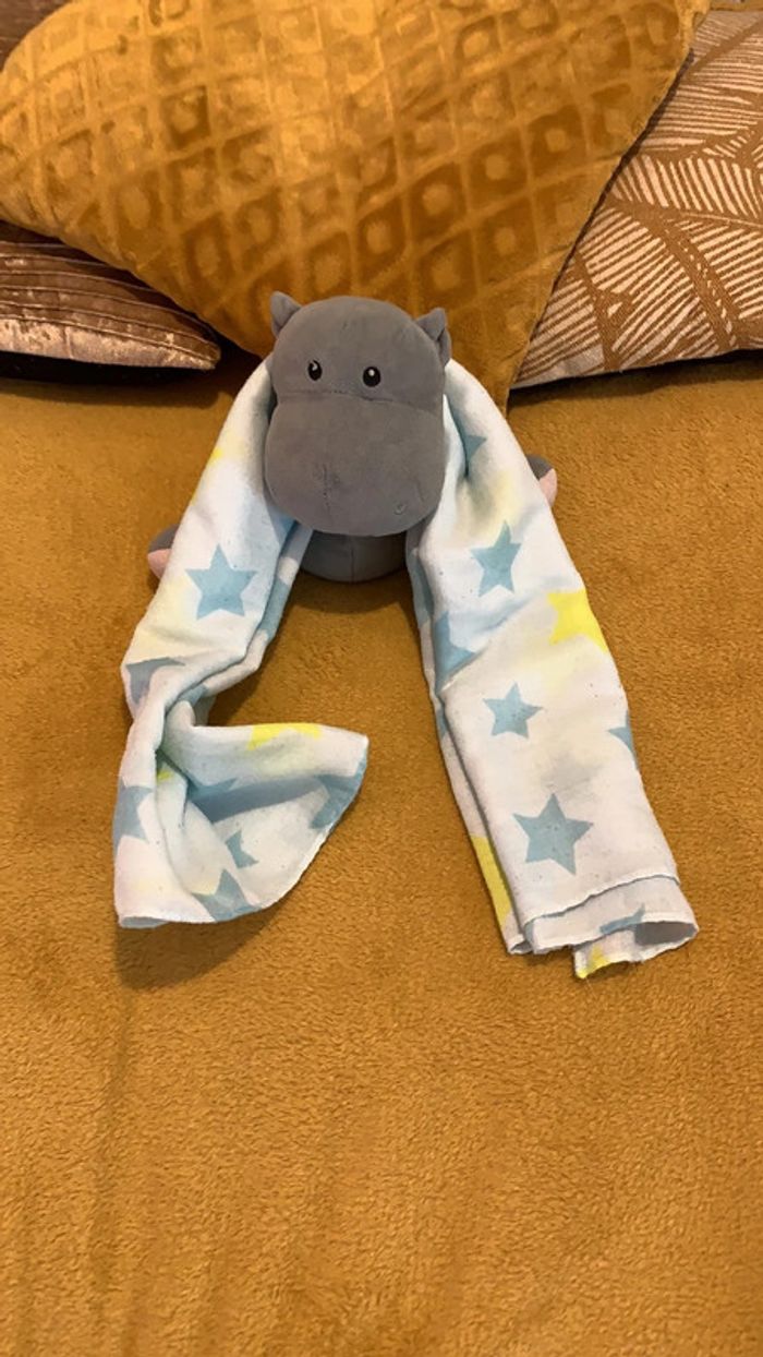 Écharpe/Foulard - photo numéro 6