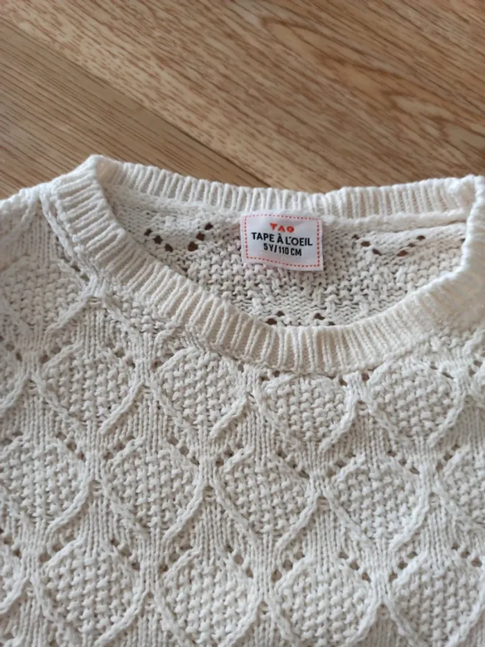 Jolie pull Tao 5 ans - photo numéro 3