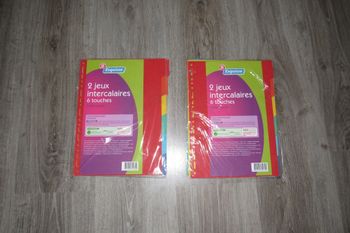 LOT DE 2 PAQUETS D'INTERCALAIRES  - GRAND FORMAT "ESQUISSE" - NEUF - n°29