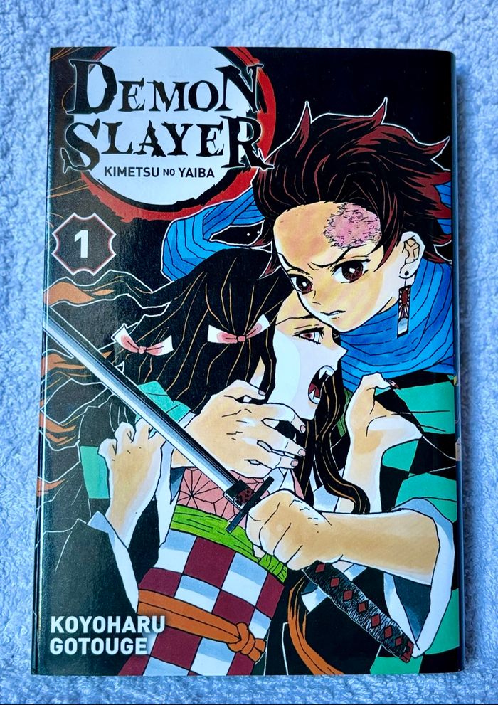 Tome 1 Demon slayer