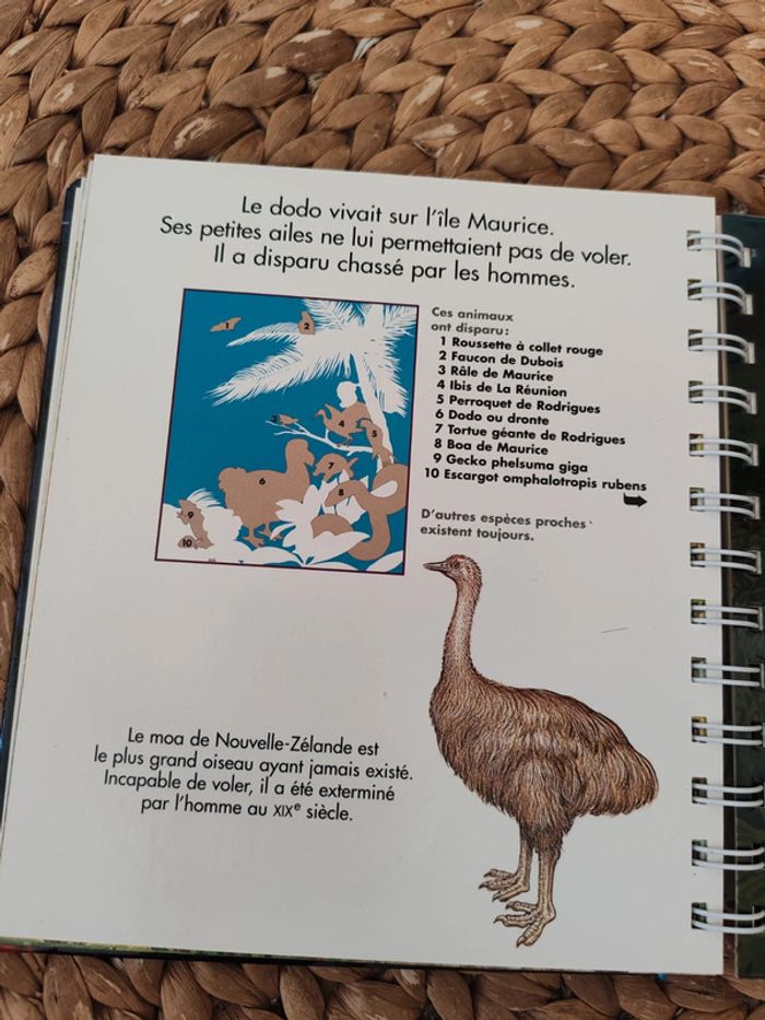 Livre les animaux disparus lampe magique - photo numéro 4