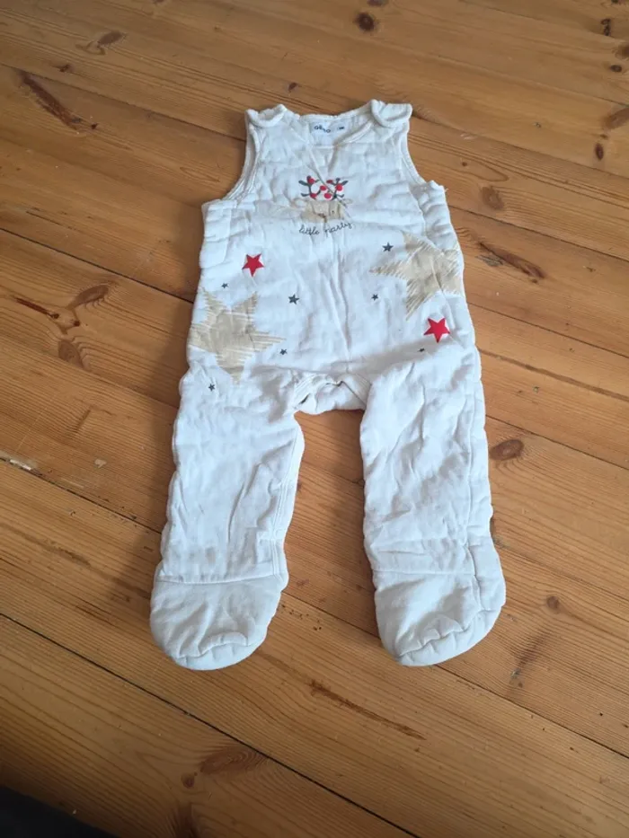 Lot de 2 salopette hiver et Tee-shirt manche courte. - photo numéro 2