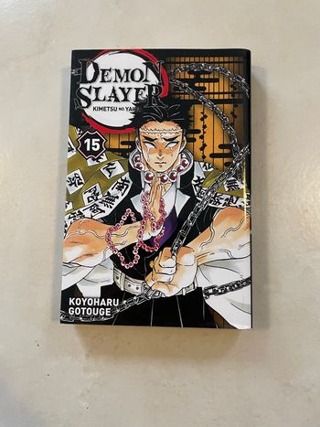 Demon Slayer 15