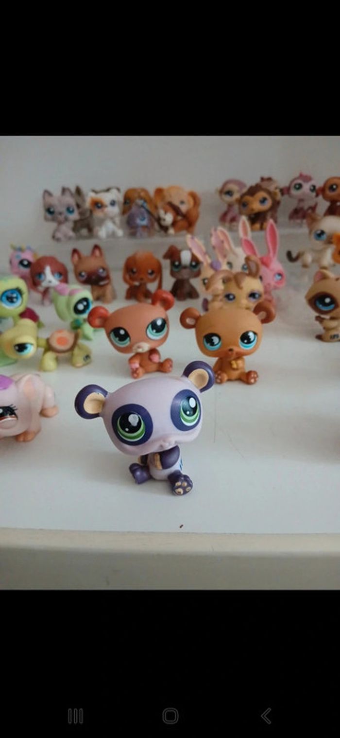 Littlest petshop - photo numéro 8