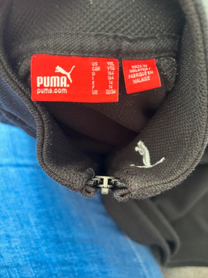 Pull puma - photo numéro 2
