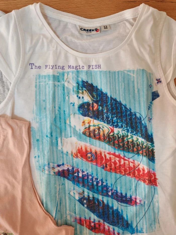 lot tshirts 12 ans fille - photo numéro 4