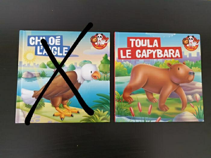 Lot de 4 livres "Mes animaux du zoo" collection RBA - photo numéro 2