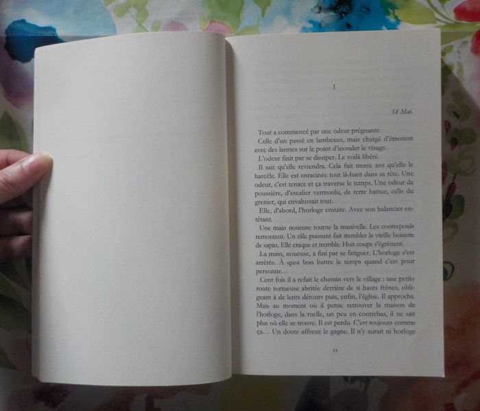 Le Marigot des crocodiles de Michel Ruffin Ed. Lbs Noir Ex dédicacé - photo numéro 6