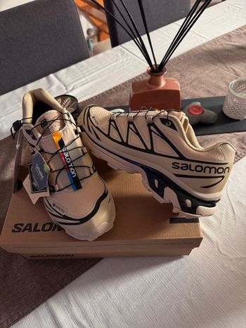 Salomon xt-6 Gore-tex
