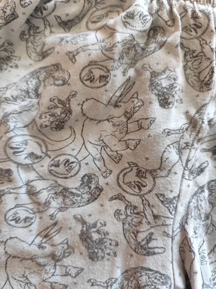 Short léger dinosaures - photo numéro 2