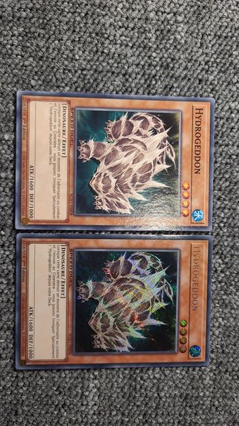 Carte Yu gi oh  - Hydrogeddon classique et holo