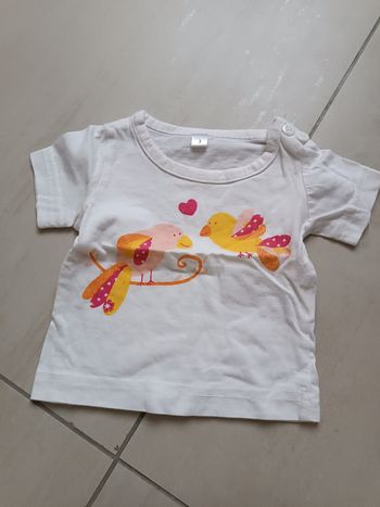 Tee-shirt manches courtes