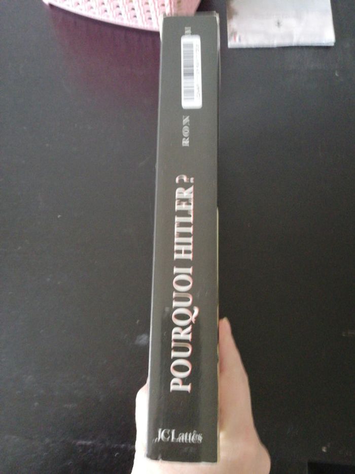 Pourquoi Hitler ? - photo numéro 3