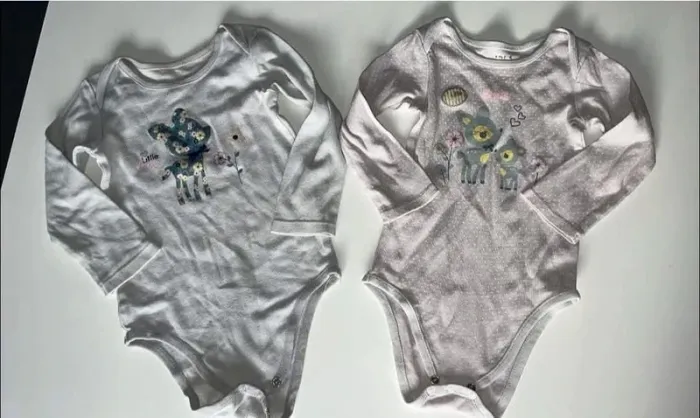 Lot 2 bodies