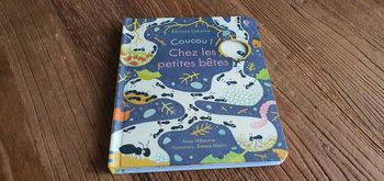 Livre à clapets COUCOU les petites bêtes de anna milbourne