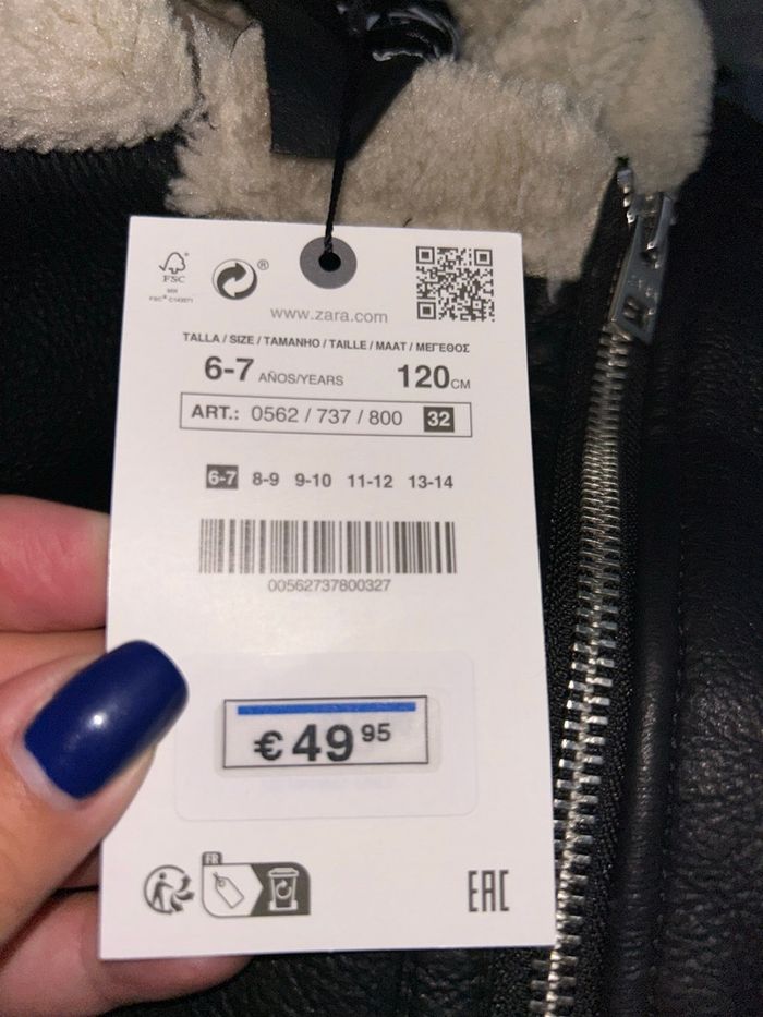 Bombardier Zara - photo numéro 2