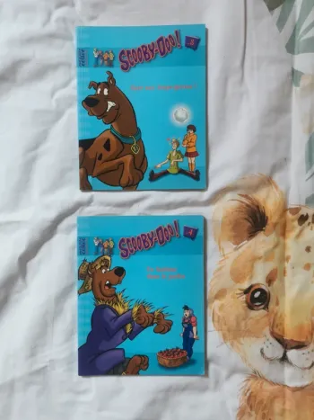 Lot 2 livres scoubidous 3 et 4