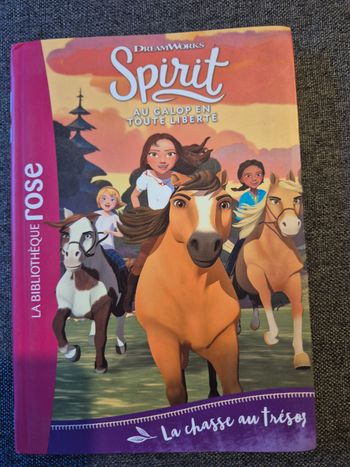 Livre Spirit La chasse au trésor