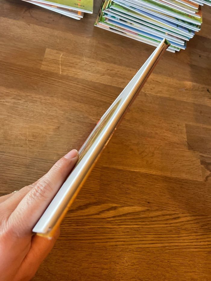 Livre Altaya Le monde des animaux Sauvages Animaux de la savane Le hyène - photo numéro 6