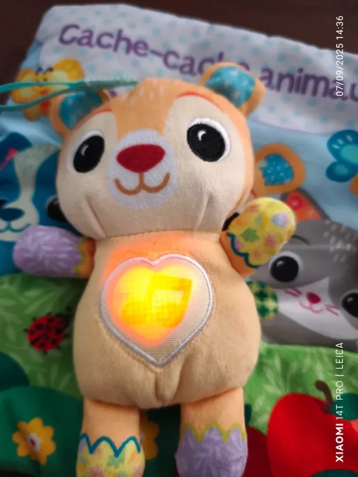 Grand livre toudoux des découvertes VTech - photo numéro 14
