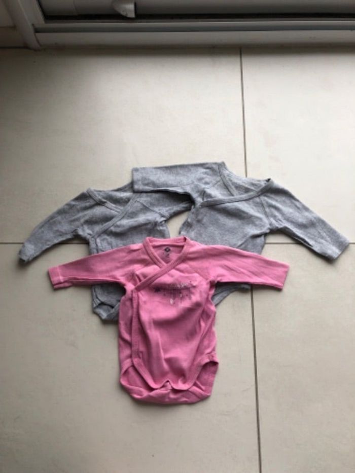 Lot 3 bodies