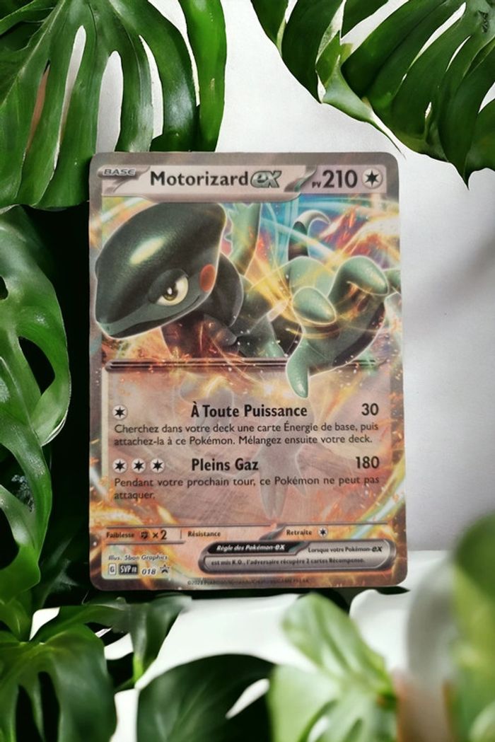 Motorizard ex