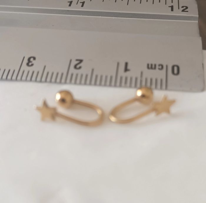 Boucles d oreilles ou de narine - photo numéro 3