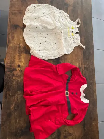 Lot de 2 robes bébé fille 18 mois