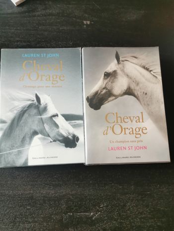 Livres Cheval d'orage