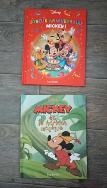 lot de 2 livres Mickey Wald Disney Hachette Très bon état