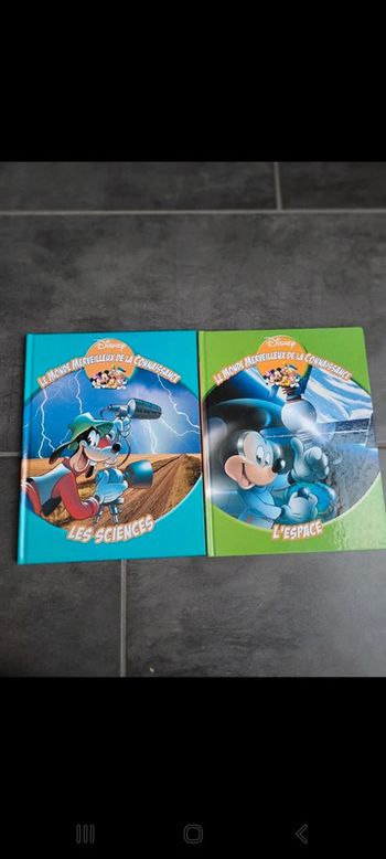 Lot livres Mickey/Disney