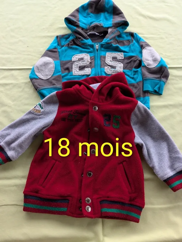 Lot de 2 sweats à capuche 18 mois