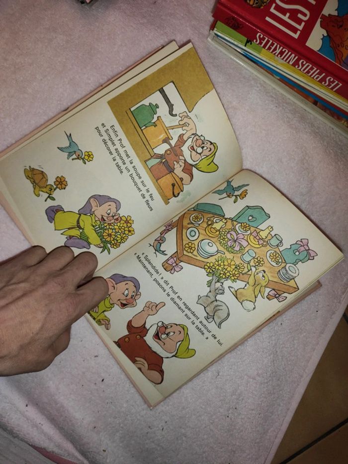 Les sept nains et le diamant - photo numéro 4