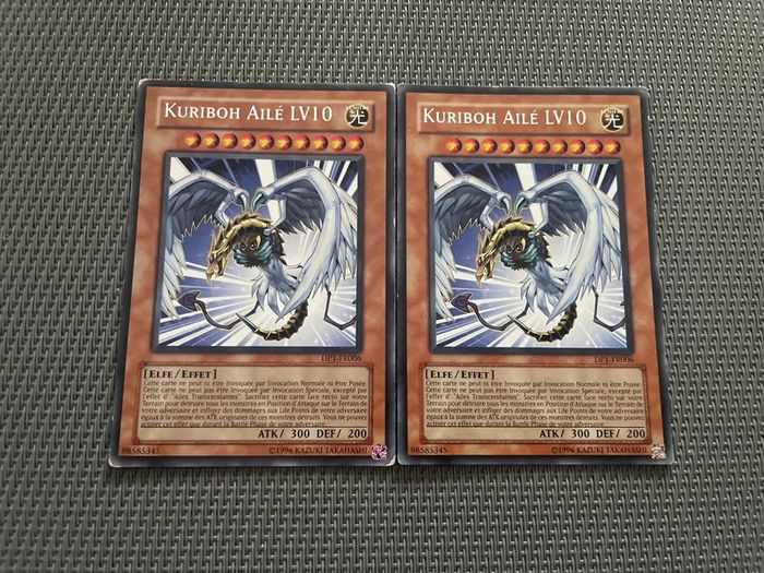 Lot 2 Cartes Yu-Gi-Oh! Kuriboh Ailé LV10 DP1-FR006