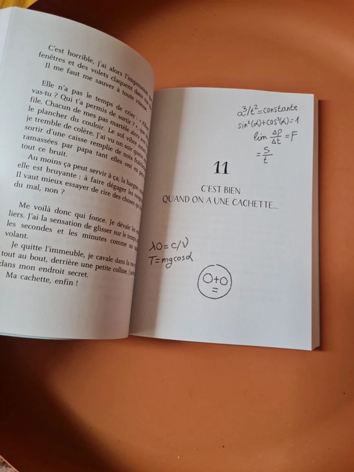 Le monde selon Albert Einstein - Brigitte kernel - photo numéro 5