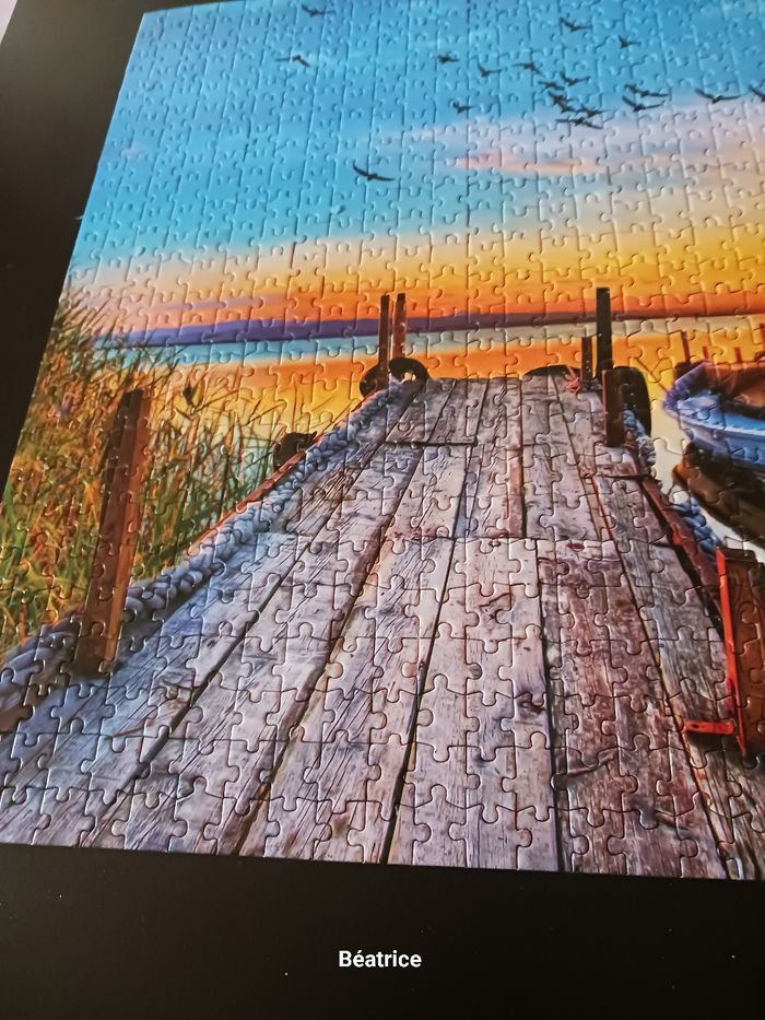 Pulzze 1000 pieces - photo numéro 6