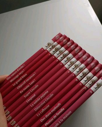 Livres "Bienvenue chez les Loud" 1 à 12 et 20 
