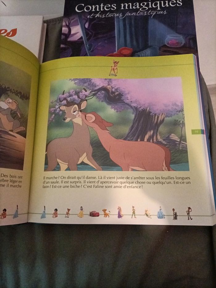 Livres de contes - photo numéro 6