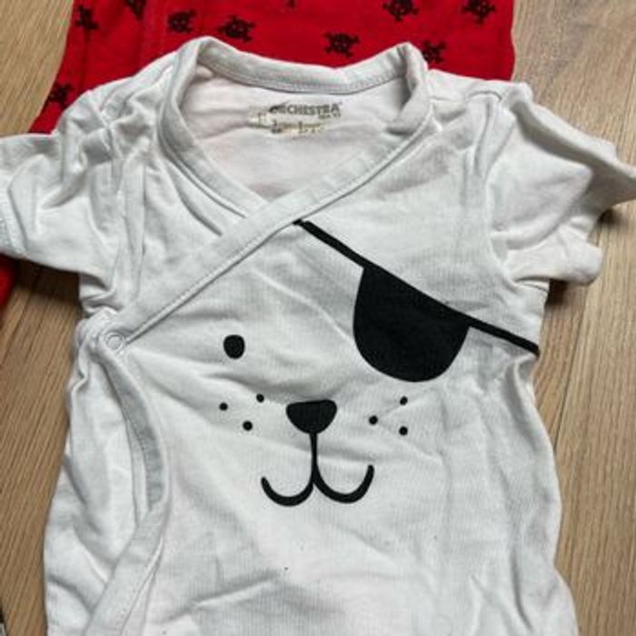 Body pirate - photo numéro 5