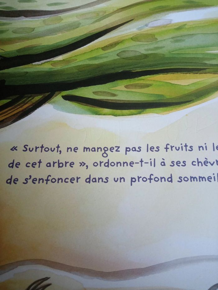 Zékéyé - photo numéro 4
