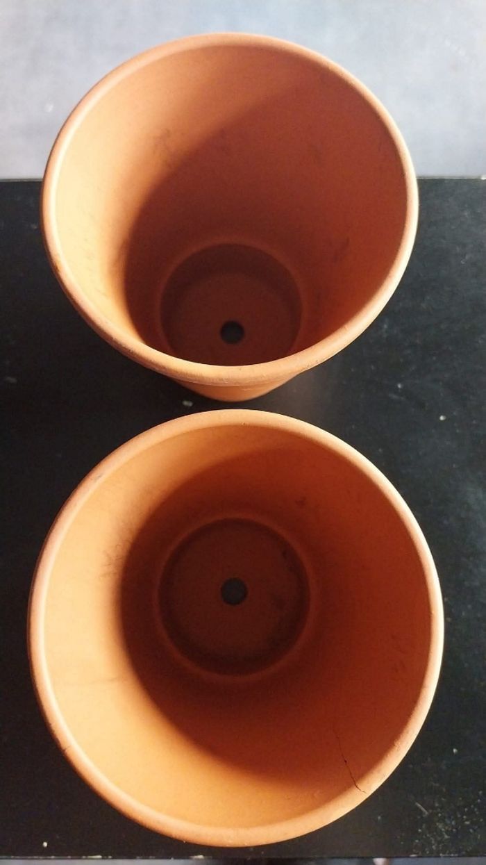 Pots de fleurs - photo numéro 3