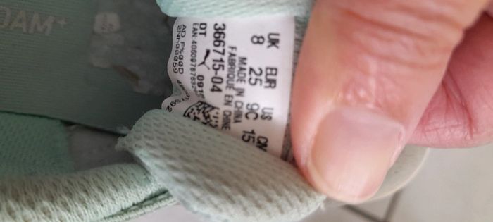 Puma vert d'eau - photo numéro 3